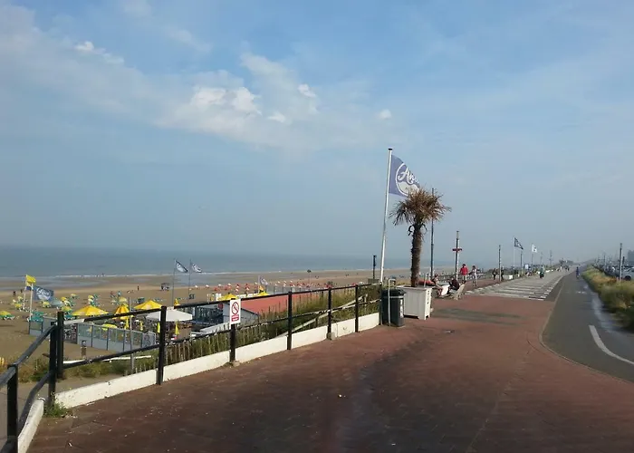 Zandvoorthouse Zandvoort